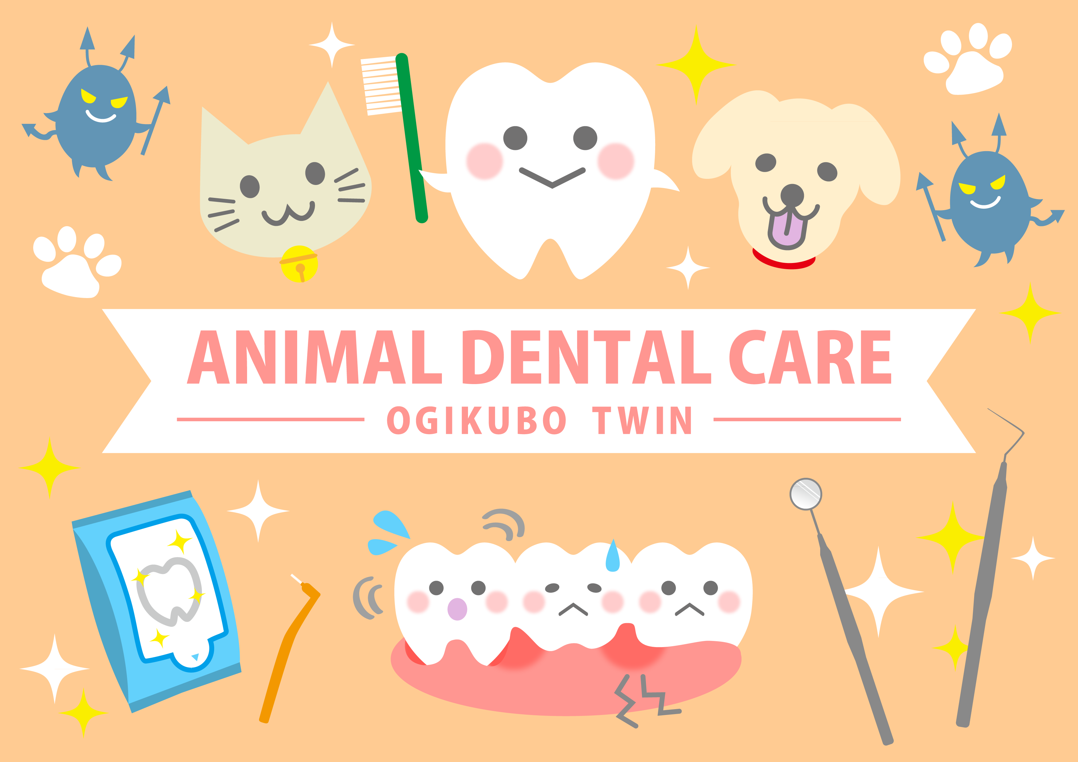 イラストを読む!犬と猫の臨床歯科・口腔外科の通販 | Ci Vet