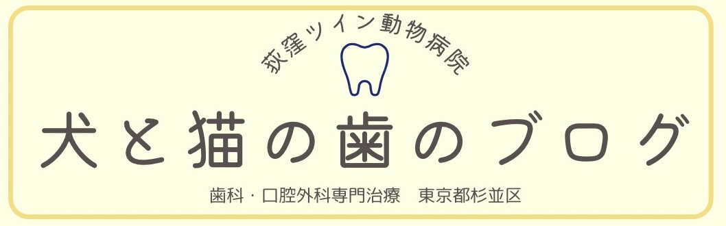 犬と猫の歯のブログ　荻窪ツイン動物病院