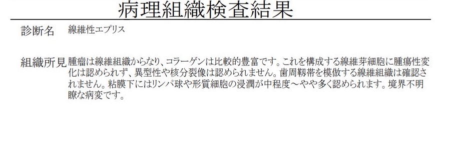 エプリス 病理結果