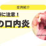 89_猫は特に注意！猫の口内炎