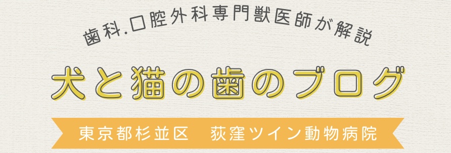 犬と猫の歯のブログ　荻窪ツイン動物病院