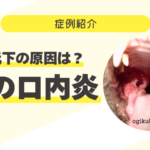 80_食欲低下の原因は？猫の口内炎