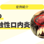 症例紹介サムネイル (12)