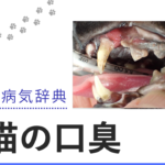 猫の口臭
