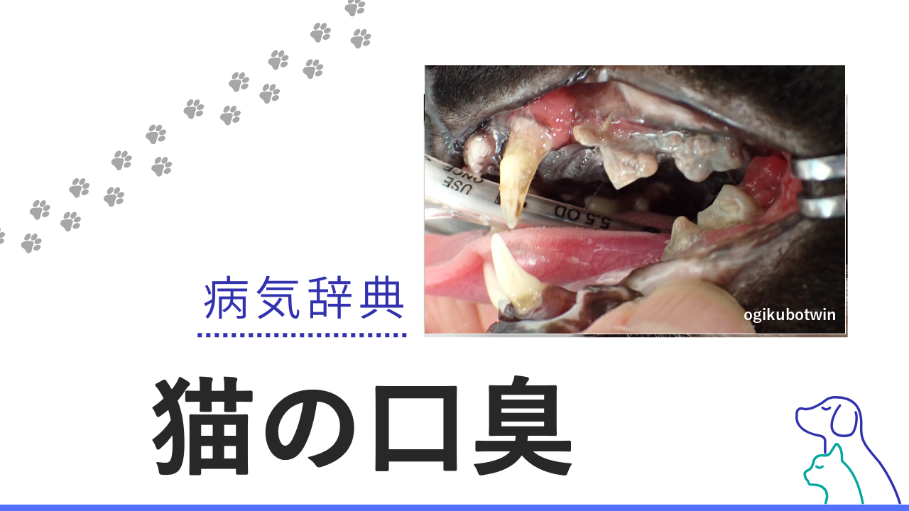 猫の口臭
