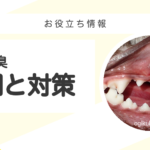 犬の口臭の原因と対策|自宅ケアから受診目安まで獣医師が解説 犬の口臭の原因と対策|お役立ち情報