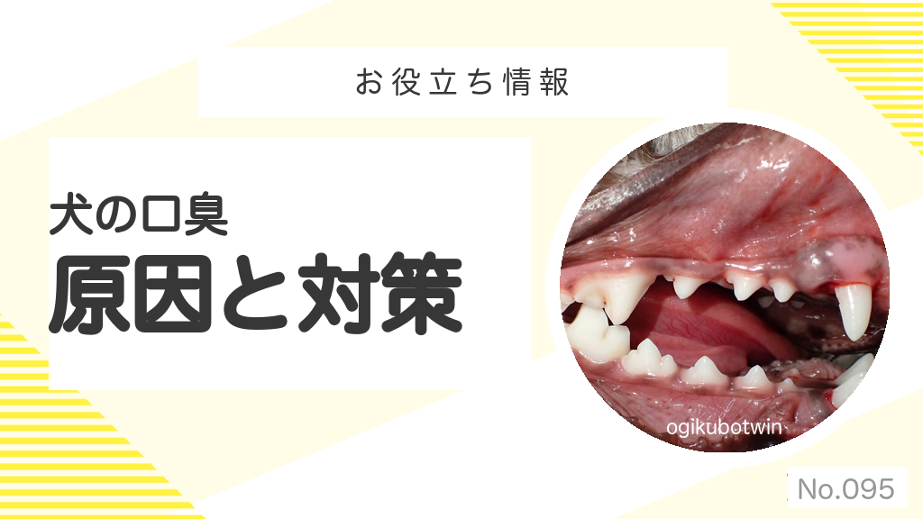 犬の口臭の原因と対策｜お役立ち情報