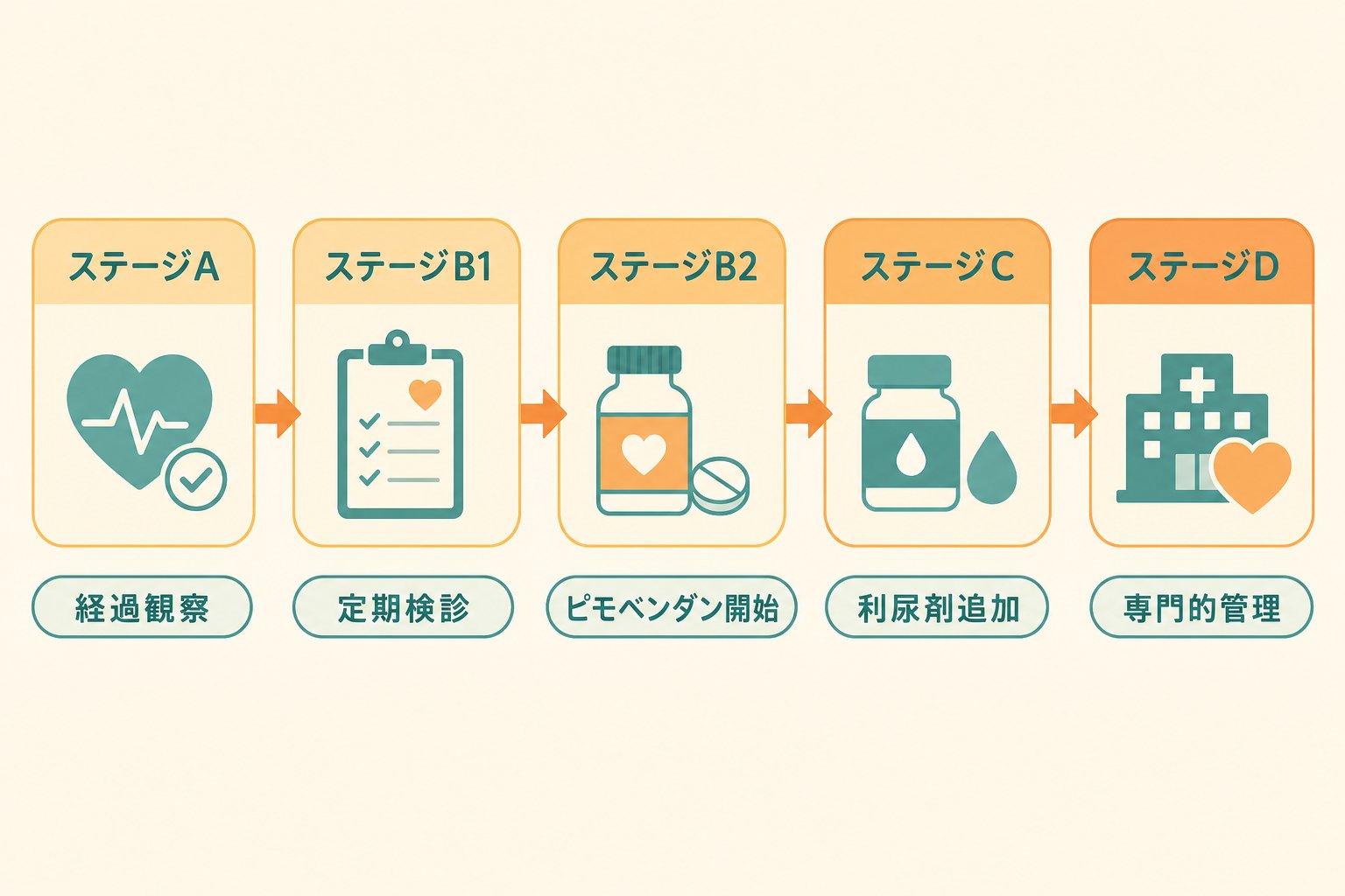 イラスト:MMVDのステージ進行と治療方針の目安