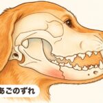 命に関わる【顎骨骨折】 下あごのずれ|命に関わる【顎骨骨折】