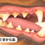 歯ぐきから血｜歯のクリーニング！軽度歯周病
