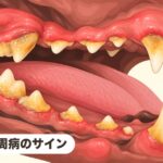 歯周病のサイン｜口をくちゃくちゃさせる原因は？犬の歯周病