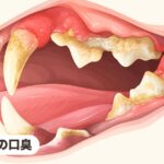 猫の口臭｜猫の口が臭い原因と対処法｜ドブ臭い・アンモニア臭・FORLまで獣医師が解説