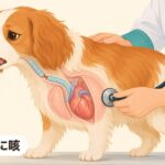 夜に咳｜犬の咳が続くのは心臓病のサイン？夜・興奮時に咳が出る時の受診目安