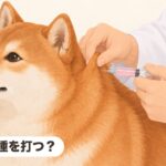 犬の混合ワクチンの種類と選び方|8種・5種の違いと値段の目安 何種を打つ?|犬の混合ワクチンの種類と選び方|8種・5種の違いと値段の目安