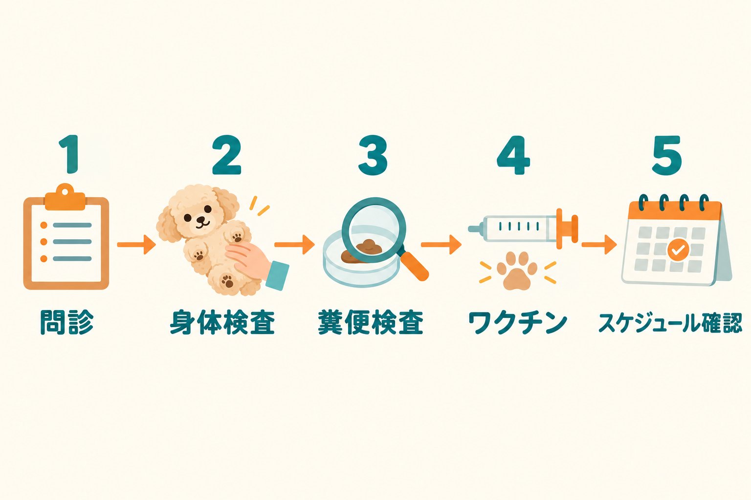 イラスト：受診当日の診察の流れ（5ステップ）