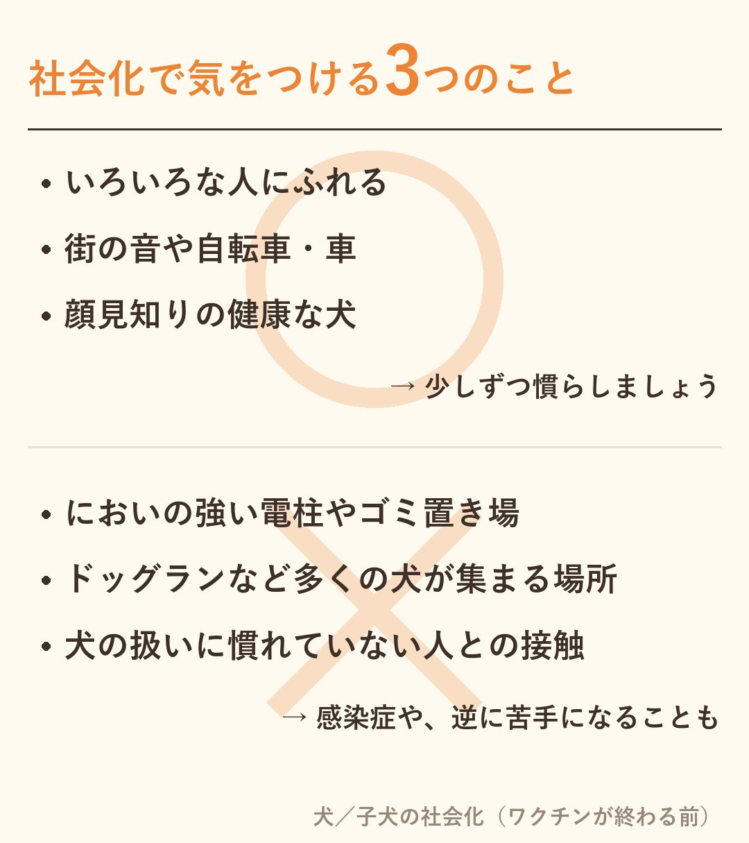 社会化を大切にする当院の考え方