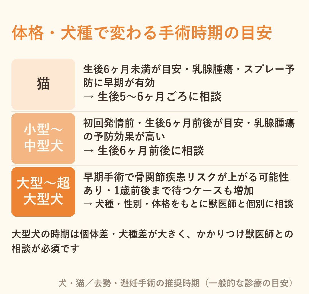 手術の時期は「生後6ヶ月」がすべてではありません