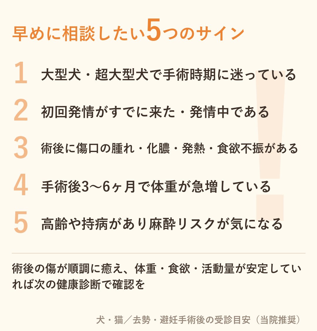 動物病院に相談したい・受診の目安